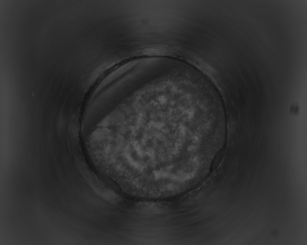 X0000091890297200710031147