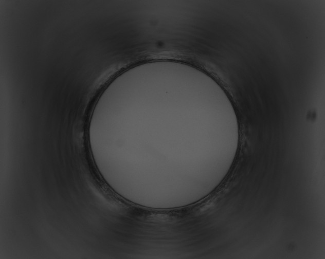 X0000091890298200710031147