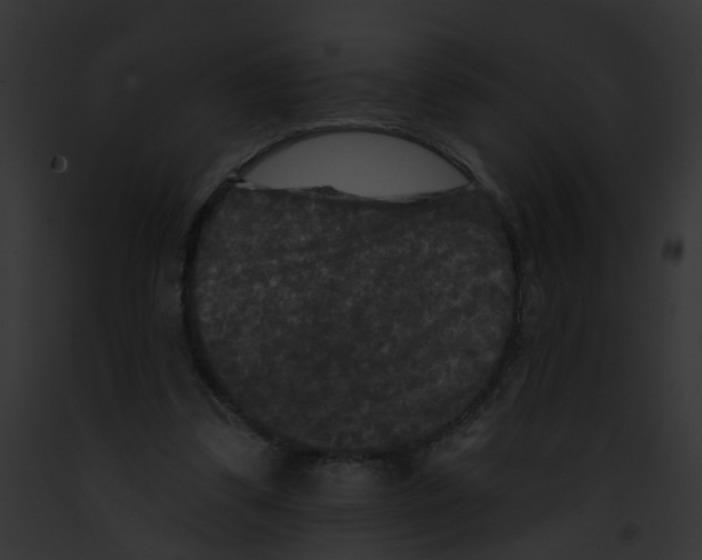 X0000091890299200710031147