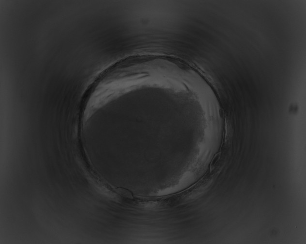 X0000091890301200710031147