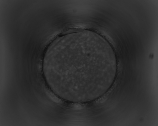 X0000091890305200710031147