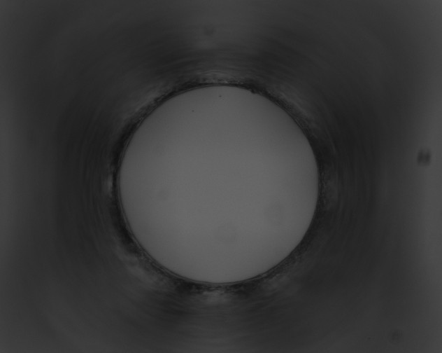X0000091890310200710031147