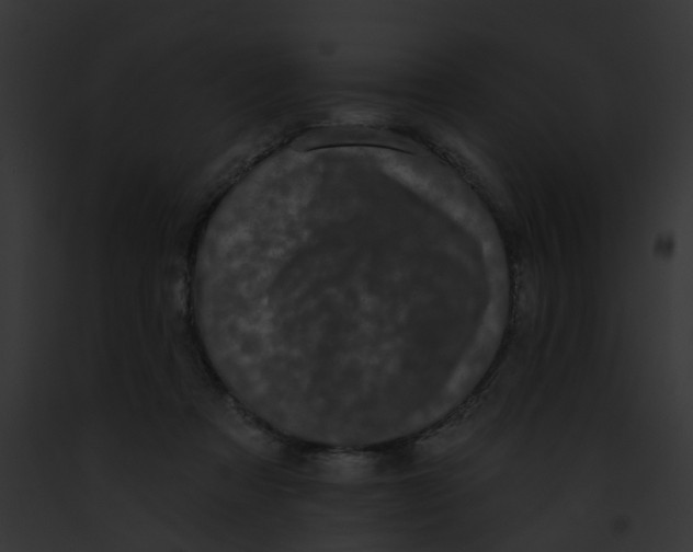 X0000091890313200710031147