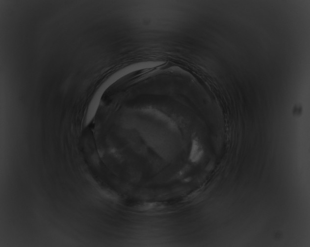 X0000091890319200710031146