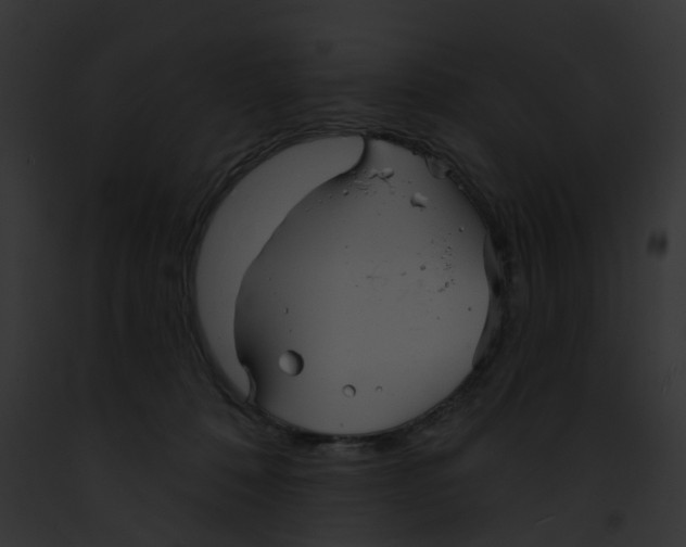 X0000091890320200710031146