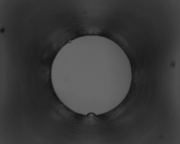X0000091890321200710031146