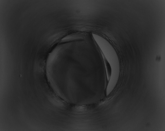 X0000091890325200710031146
