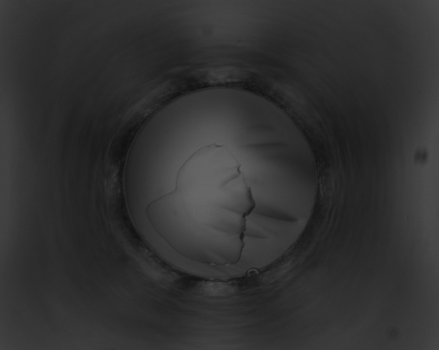 X0000091890327200710031146