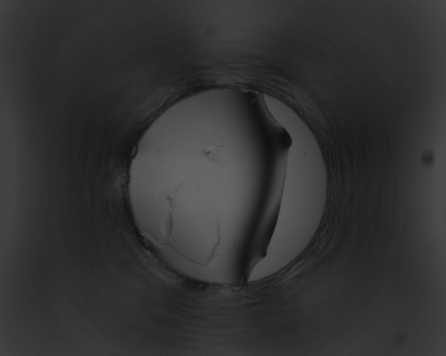 X0000091890329200710031146