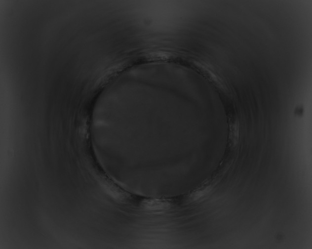 X0000091890331200710031146