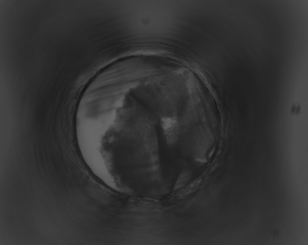 X0000091890337200710031145