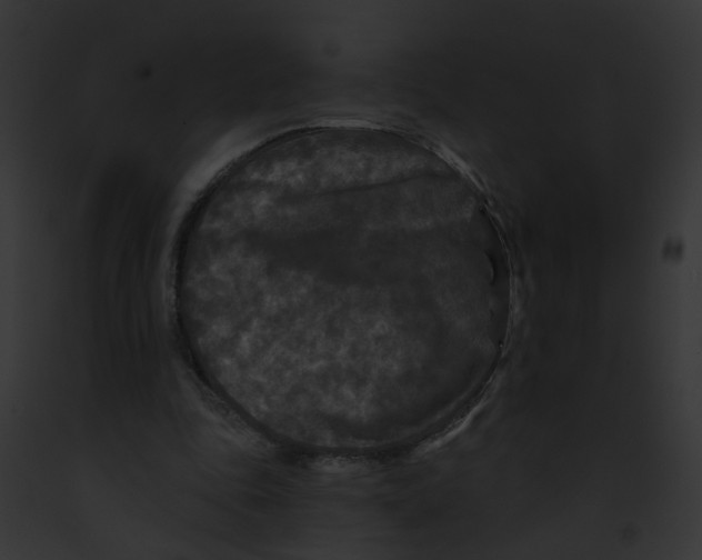 X0000091890343200710031146