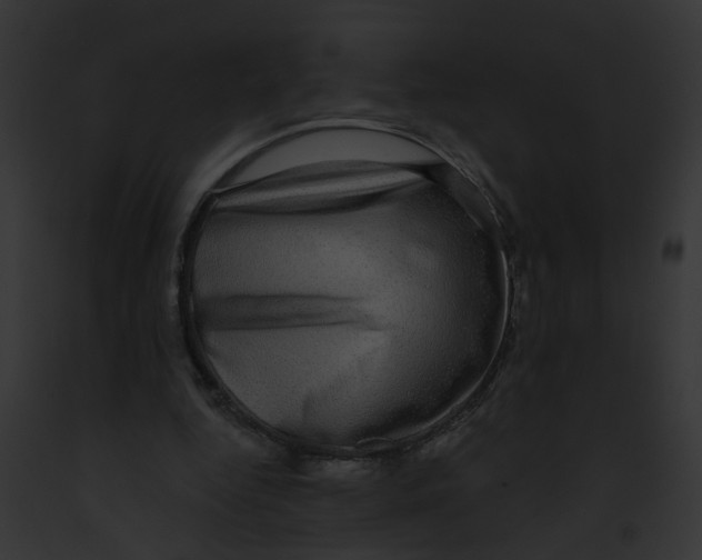 X0000091890344200710031146