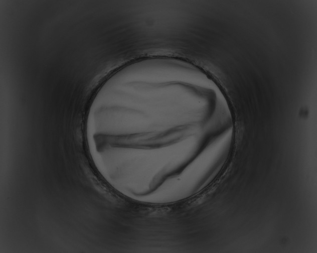 X0000091890345200710031146