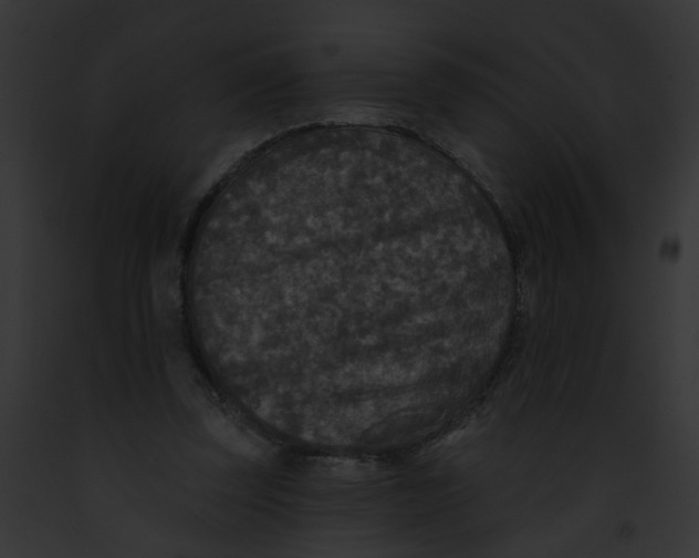 X0000091890347200710031146