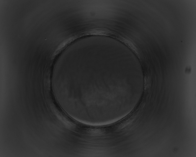 X0000091890349200710031146