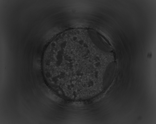 X0000091890353200710031146