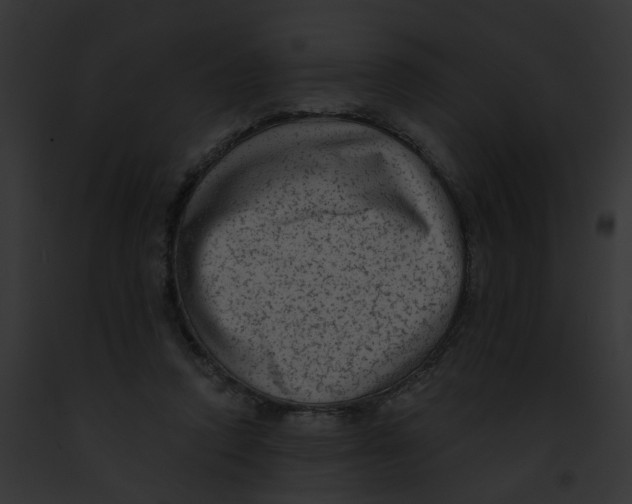 X0000091890354200710031146