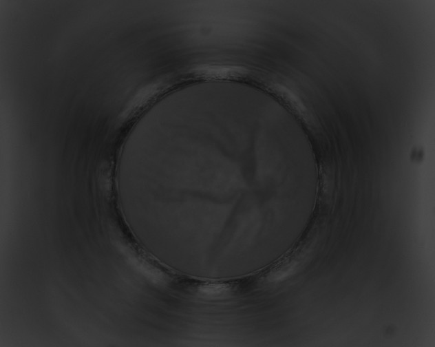 X0000091890357200710031146