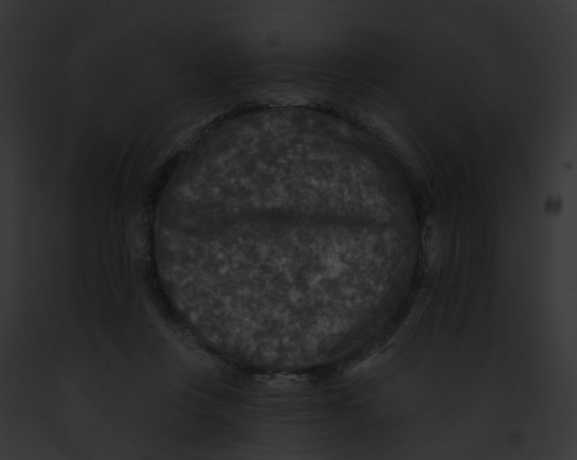 X0000091890359200710031146