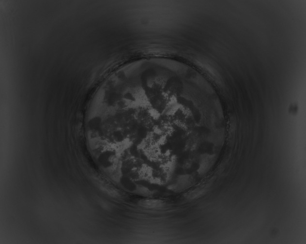 X0000091890361200710031146
