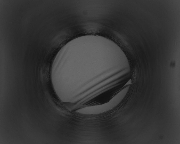 X0000091890364200710031146