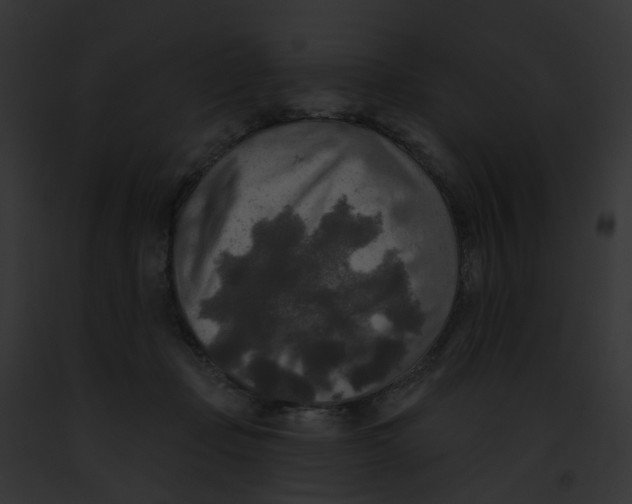 X0000091890365200710031146