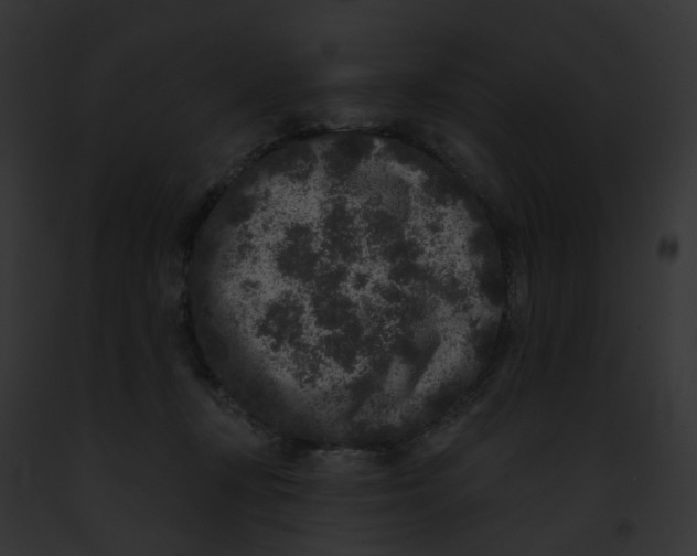 X0000091890367200710031146