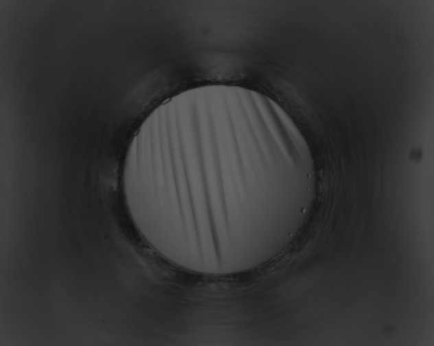 X0000091890368200710031146