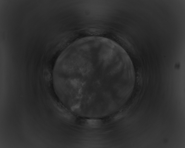 X0000091890371200710031146