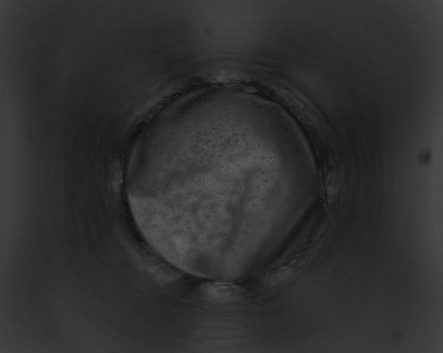 X0000091890372200710031146