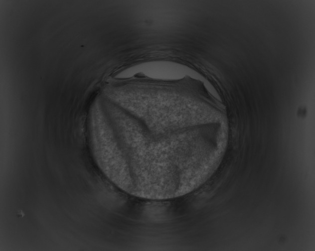 X0000091890373200710031146