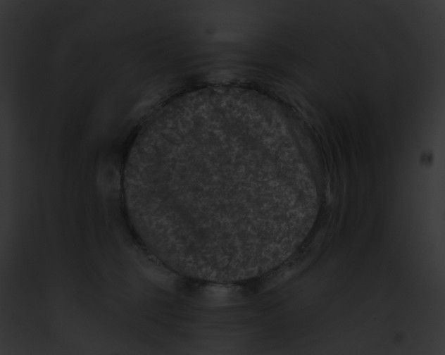 X0000091890375200710031146