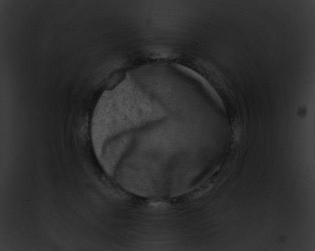 X0000091890376200710031146