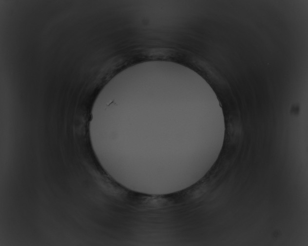 X0000091890379200710031146
