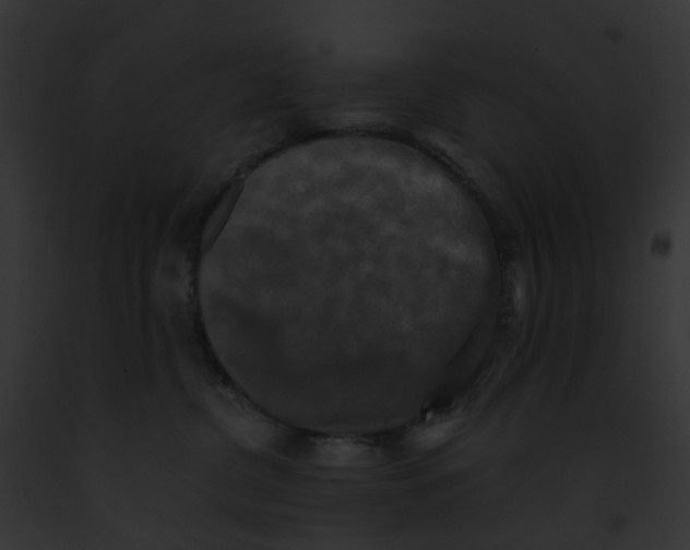 X0000091890380200710031146