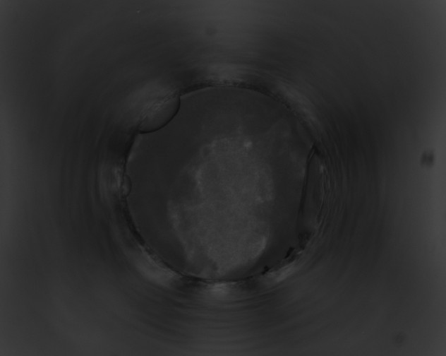 X0000091890382200710031146