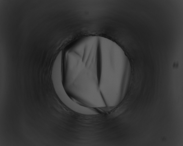 X0000091890384200710031146