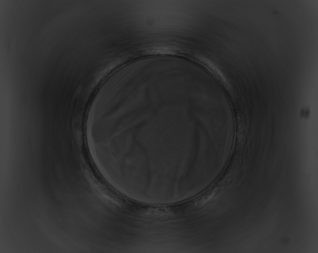X0000091890386200710031145