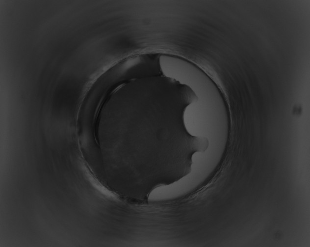 X0000091890389200710031145