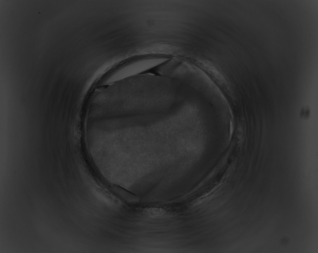 X0000091890392200710031145