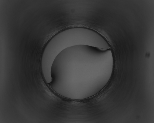 X0000091890393200710031145
