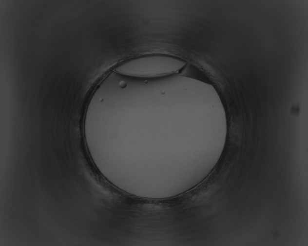 X0000091890394200710031145