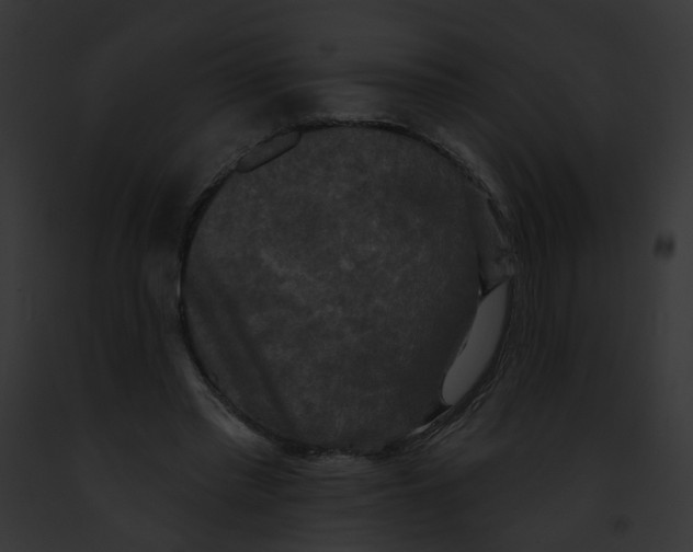 X0000091890397200710031145
