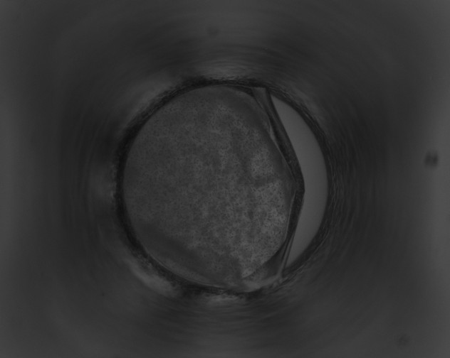 X0000091890400200710031145