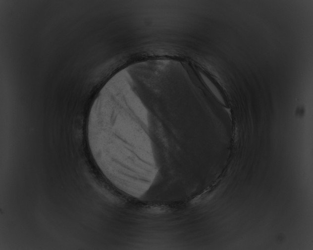 X0000091890402200710031145
