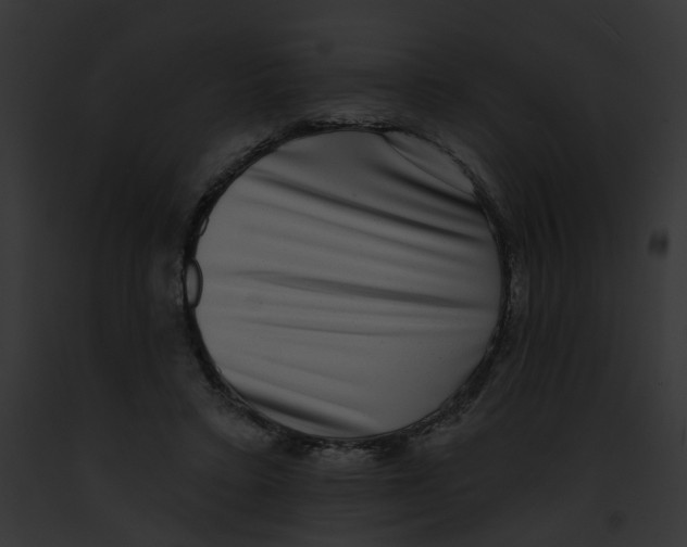 X0000091890403200710031145
