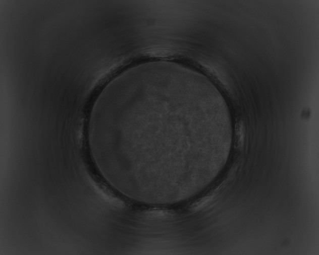 X0000091890404200710031145