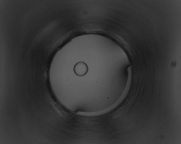 X0000091890405200710031145