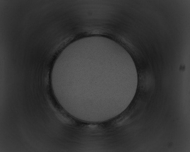 X0000091890406200710031145